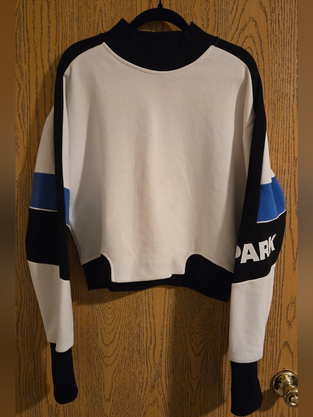 Ivy Park Crop Mock Neck Sweatshirt